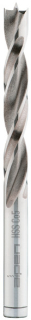 Vrtak, vrtáky - Vrták do dreva Alpen 0063301000100 10mm