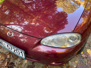 Xyralic Mazda Garnet Red 25f IXell1 liter 55 Databáza
