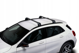 Cruz Airo BMW X1 F48 2015- ROOF TRUNK