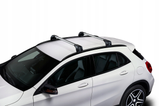 Cruz Roof Trunk 75 kg čierny