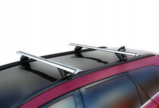 Toyota RAV4 2000-2006 ROOF REGAN