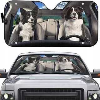 Slnečná clona do auta - Family Heko Skoda Fabia II 2007-15 4 PCS.