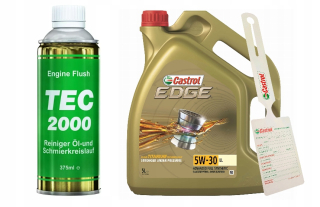 Castrol Edge LL 5W30 5L + TEC2000 MOTOR FLASD