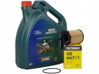 Castrol Professional 5W30 5L+olejový filter OE667/1