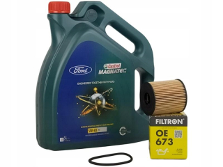 Castrol Professional 5W30 A5 5L+OE673 Oil Filter