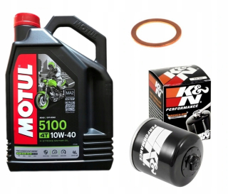 Oiej Honda CB 600 F Hornet PC41 2007-2013 Filter