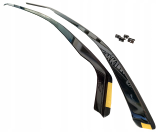 Renault Reno Scenic II 2003-2009 Front