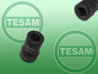 Tesam S0001790