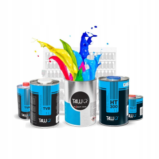 T4W Ford Sea Grey Painting Set 1: 1 4L E